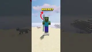 Why Zombies try to Kill Players in Minecraft?