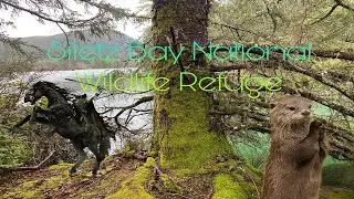 Siletz Bay National Wildlife Refuge