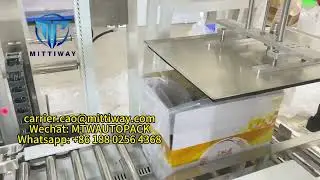 Bag Inserter Machine Powder/Plastic Granules/Silicone Strips