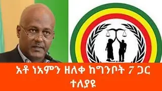Ethiopia: አቶ ነአምን ዘለቀ ከግንቦት 7 ጋር ተለያዩ : Neamin Zeleke vs Ginbot 7: Alfa Tube