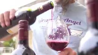 De bekendste druivenrassen van Bordeaux | Gorts Wijnkwartier