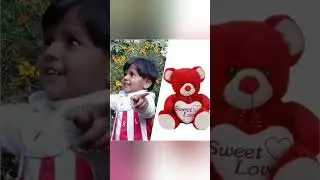 |Teddy Day Whatsapp Status 2022|Happy Teddy Bear Day Video Status| same colour dress teddy status