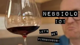 Nebbiolo Wine 101: What It Is? + Taste & Regions Guide | Let's Get Vinnocuous! Ep 1