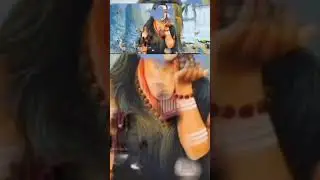 lingayat kaun hai | #lingayat #shorts #shortvideo