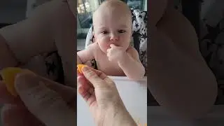 Mila does not want mango but does want banana cute baby uppa