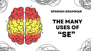 The many uses of SE in Spanish - Easy Guide