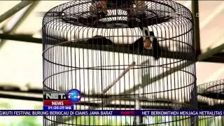 Festival Burung Berkicau Diselenggarakan di Ciamis Jawa Barat - NET 24