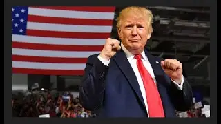 12 Reasons Donald Trump Will Win in 2020