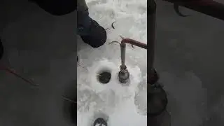 как спастись от безклёвья #fishing #carpfishing #рыбалка