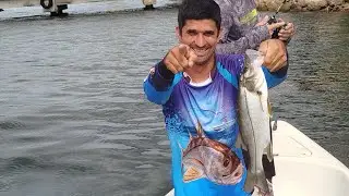 Pescaria ba&iacute;a de Guanabara s&oacute; robalo 21991835049