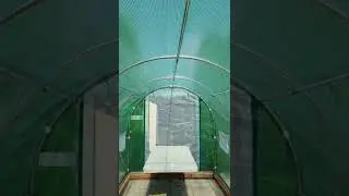 King Bird 15 x 6.6 x 6.6 Greenhouse review