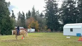 Trinity Trail Events - October Mustang Challenge - Alicia & Goldie - trail