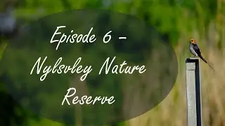 Birding at Nylsvley Nature Reserve