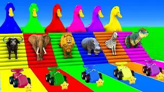 Amazing Long Slide Game with Bull Zebra Tiger Hippopotamus Elephant 3d Animal Game Funny 3d Animals
