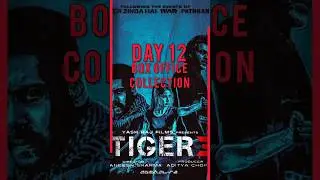 Day 12 Collection 🔥 #tiger3 #salmankhan #katrinakaif #tiger3boxofficecollection #shorts