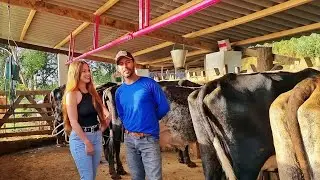 Fabio tirando leite/ Ruiva da roça e o Tio Chicão foram pra cidade/ Geraldo um Fã do canal e mais..