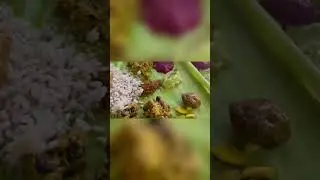Onam sadhya 2022 #annskitchen #onam #onam2022 #onamsadya #onamspecial #onamsadhya #onamsadhyarecipe