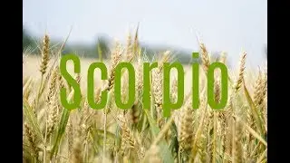 Scorpio September 2017 Tarotscope