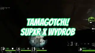 TAMAGOTCHI! (frag vid)