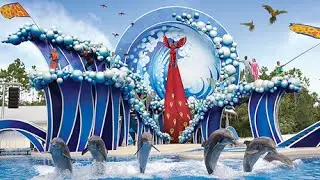 Dolphin theater Full show - Sea World, Orlando Florida