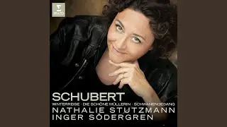 Winterreise, Op. 89, D. 911: No. 20, Der Wegweiser