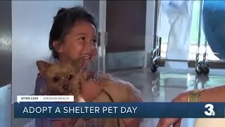 Adopt a Shelter Pet Day: The benefits of adoption and why you shouldn't rush the process PART I