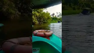 #boat #mangrove #boating #family #shorts #shortvideo #hindisong #malayalam