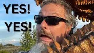 YES! YES! See the Giant Kodiak Bears! #wild #alaska #facts #shorts #bear #brownbear #kodiak #travel