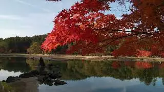 Mōtsū ji     &middot;    Pure Land Garden    &middot;     Hiraizumi
