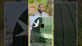 Rozay Rasool ki Ziyarat￼#shortsfeed#youtubeshorts#madina#youtubeshorts