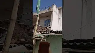 🐒🔥 Bandar Ka Badmashi Dekhkar Sab Hairan | Hasib Vlogs 244