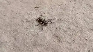 ​​
