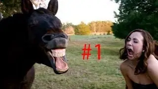 №1 Подборка Приколов лучшее сегодня  Май  2014 FAIL Compilation 2014