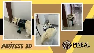 Husk Amputado / Pr&oacute;tese em Impress&atilde;o 3D / Pineal 3D