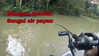 HARI MUNDIK SEBARAU HAMPALA Hujung tahun‼️🔥