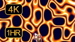 Abstract Neon Orange Passion | Screen Saver|  4K Wallpaper | 1HR