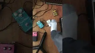 Mxr 6 band EQ midrange setting