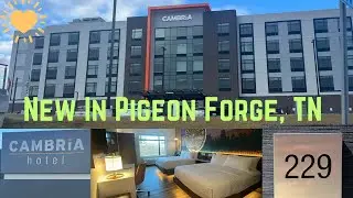 CAMBRIA by Choice Hotels, Пиджен-Фордж, Теннесси. Обзор номера № 229.
