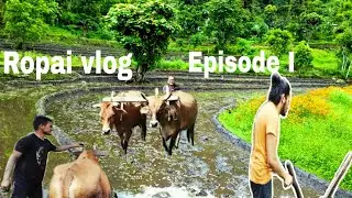 Ropai vlog||Episode-I||East Sikkim|| हिलाको दीन|| sikkim vlog