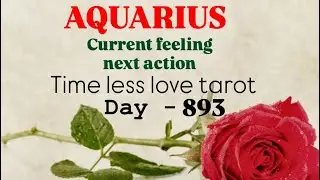 Aquarius Partners current feeling🩷next action in 24 hour #hinditarot #dailylovetarot  day - 893
