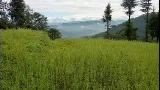 🙏🏡4Nali land for sale, Pangoot, Near Nainital Uttarakhand 🙏