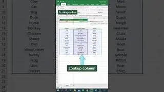 Impress your boss with this INDEX + MATCH trick!... more