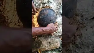 Building a Natural Honey Bee Colony Inside a Clay Pot &ndash; DIY Beekeeping Project
