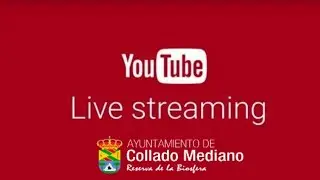 Pleno ordinario 17 de octubre de 2024