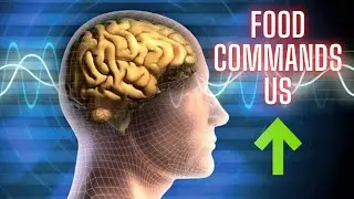 Brain Power Boost: How Your Diet Directly Influences Cognitive Function