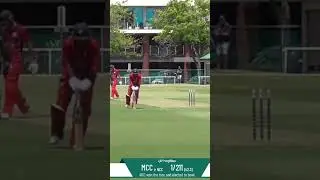 Oh Boy 😬 #cricket #sports #highlights #cricketlover #melbourne #shorts