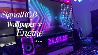 SignalRGB Wallpaper Engine Plugin tutorial