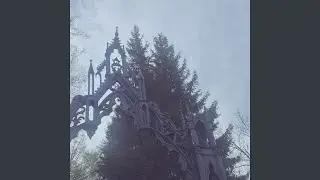 Black Realm (Super Slowed)