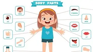 parts of body name | Body parts name in english | Body parts activity for kindergarten | body parts