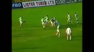 liscarroll gaa county final 1987
